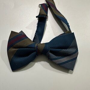 Elegant Multicolor Bow Tie